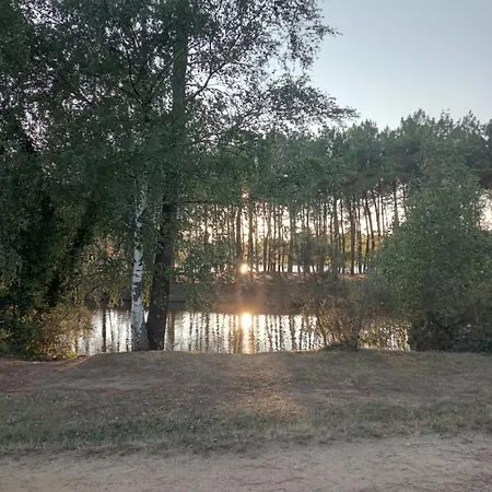 Close To Bordeaux * Montendre